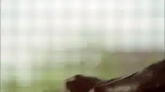 Побег 3 сезон 3 серия